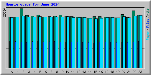 Hourly usage for June 2024