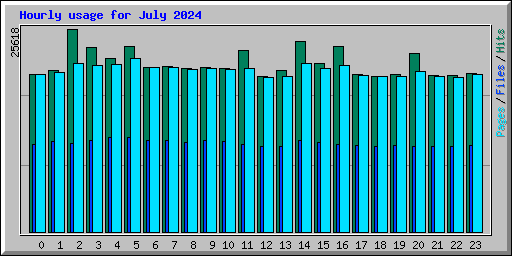 Hourly usage for July 2024